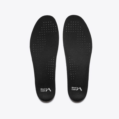 T1 (Futures Ship) ~ ship within 2 monhs