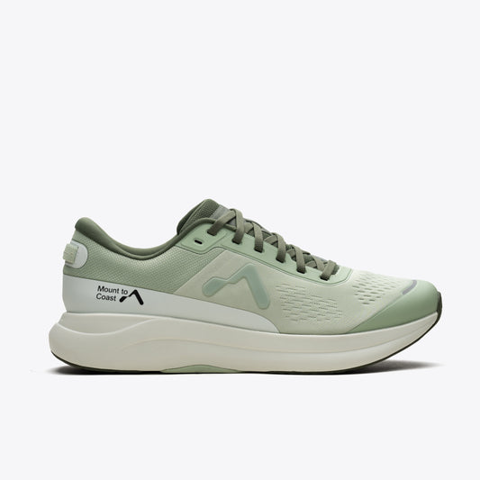 P1 Agave (Pre-Book)