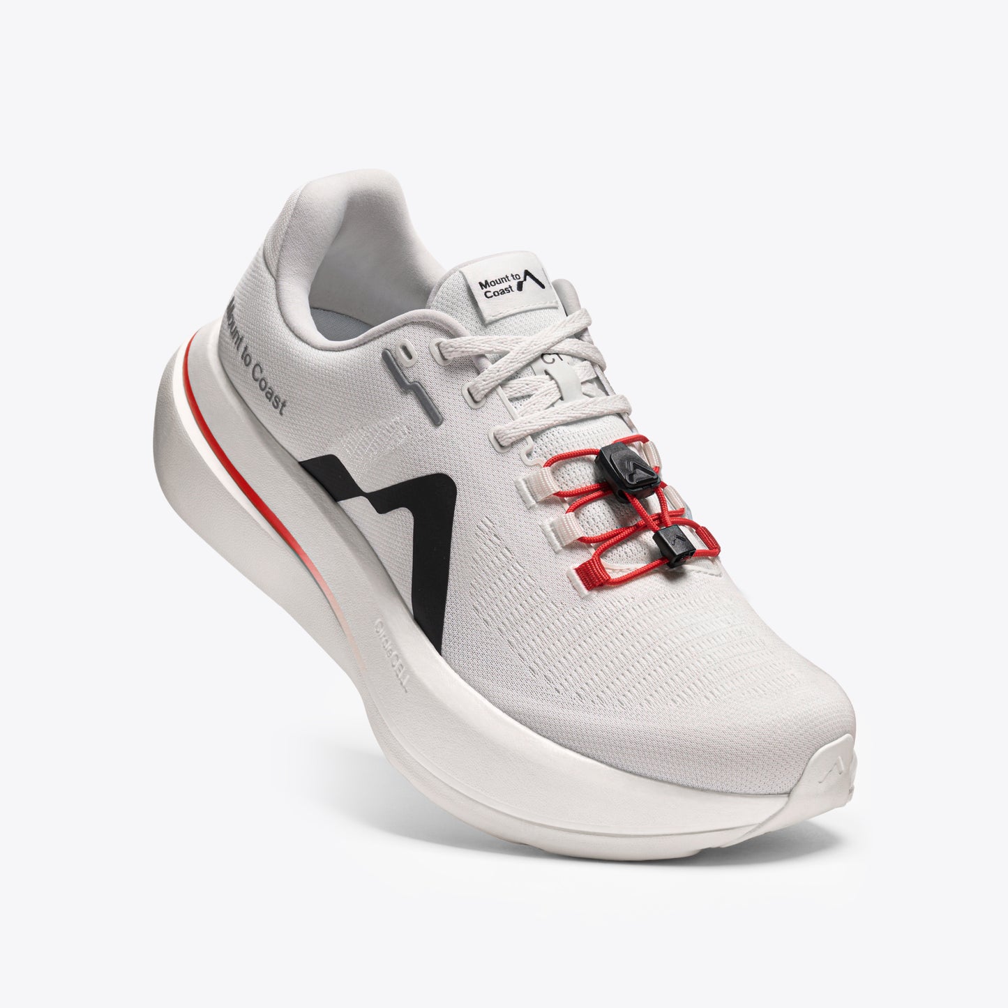 C1 (Pre-Book)