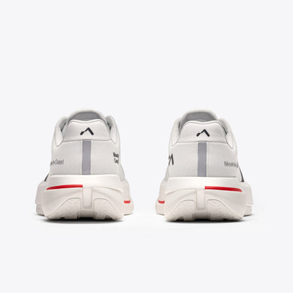 C1 (Pre-Book)