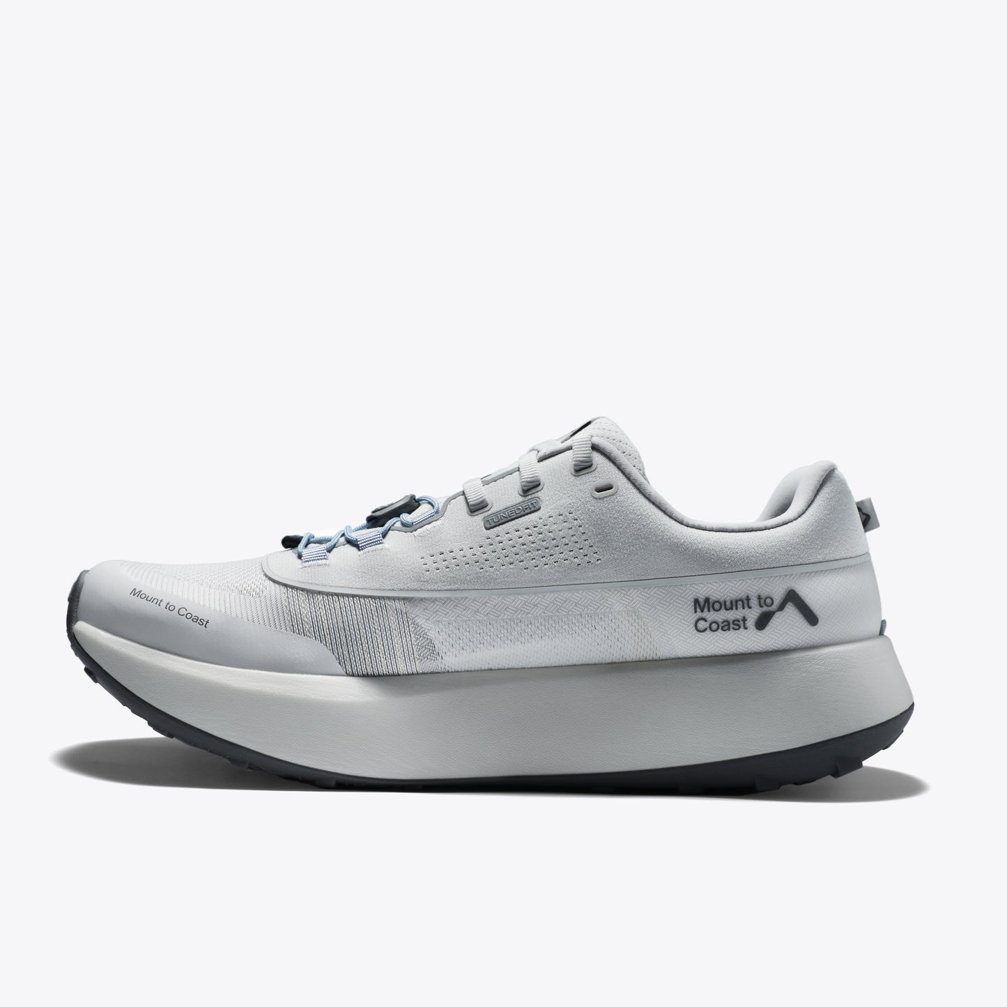 H1 (Pre-Book)