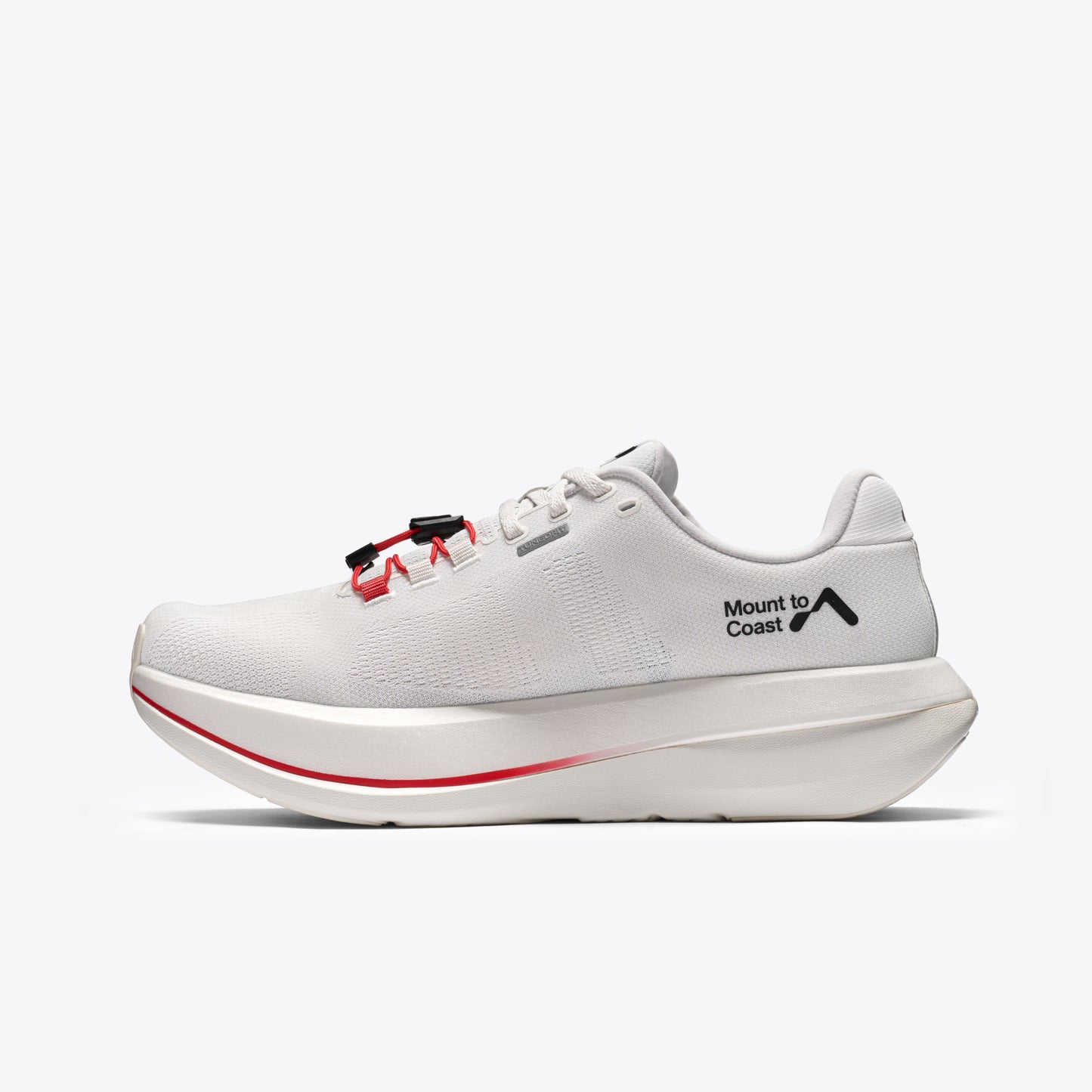 C1 (Pre-Book)
