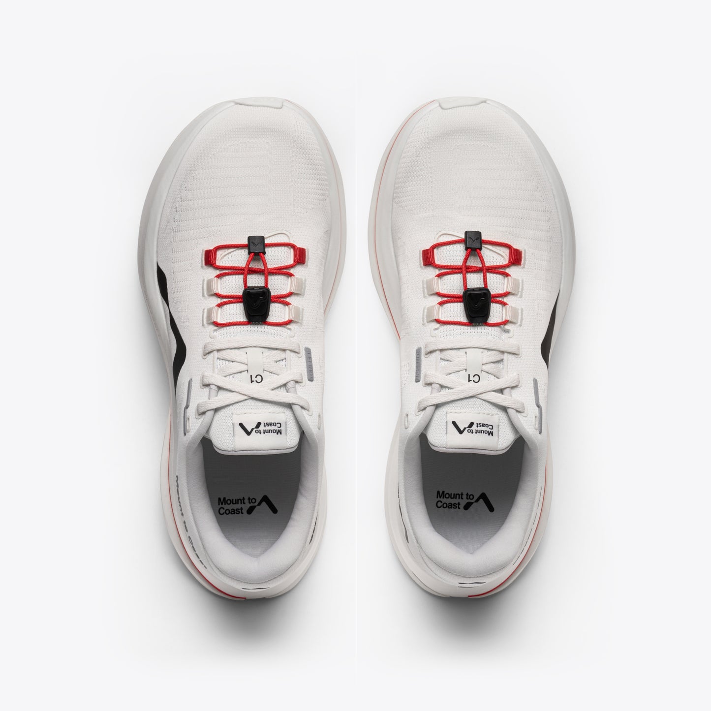 C1 (Pre-Book)